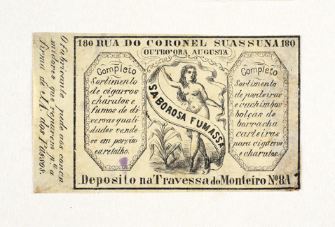 vizualizar o documento on line